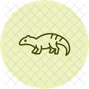 Armadillo Lizard Armadillolizard Reptile Icon