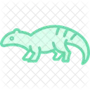 Armadillo Lizard Icon