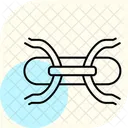 Armature wire  Icon