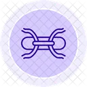 Armature Wire Armaturewire Wire Icon