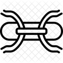 Armature Wire Armaturewire Wire Icon