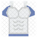 Armor  Icon