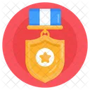 Army Achievement  Icon