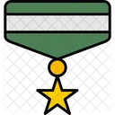 Army medal  Icon