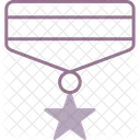 Army medal  Icon