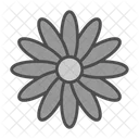 Aroma Blossom Calendula Icon