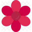 Aroma Blossom Chamomile Icon