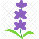 Aromaterapia  Icono
