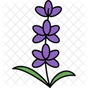 Aromatherapy  Icon