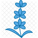 Aromatherapy  Icon