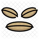 Aromatic Spice Digestive Aid Tea Ingredient Icon