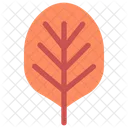 Aronia Apfelbeere  Symbol