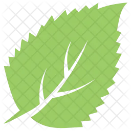 Aronia Chokeberry Leaf  Icon