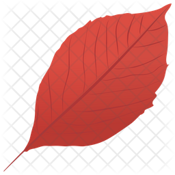 Aronia Leaf Icon