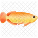 Arowana Fish Nature Aquarium Icon