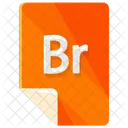 Br Arquivo Formato Ícone