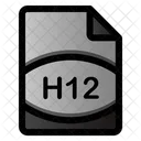 Arquivo H12  Ícone