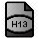 Arquivo H13  Ícone