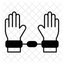  Icône
