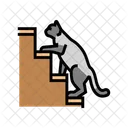 Arriba  Icono
