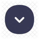 Arrow Bottom Icon