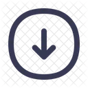Arrow Bottom Icon