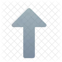 Arrow  Icon