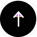 Arrow Down  Icon