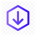 Arrow Down Hexagon  Icon