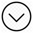 Arrow Down  Icon