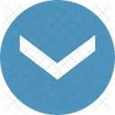 Arrow Down  Icon