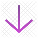 Arrow Down  Icon