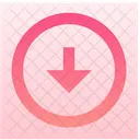 Circle Down Icon