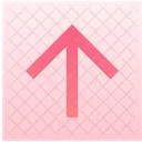 Arrow  Icon