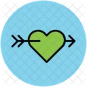 Arrow  Icon