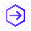 Arrow Right Hexagon  Icon