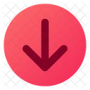 Arrow Rounded Down  Icon