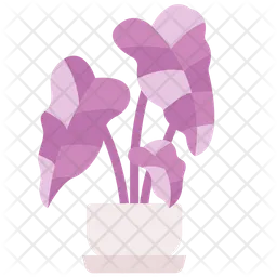 Arrowhead plant  Icon