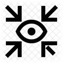 Arrows To Eye Zoom In Minimize Icon