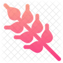 Arroz Trigo Graos Icon