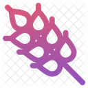 Arroz Trigo Graos Icon