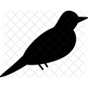 Artboard  Icon