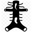 Arterias Abdominales Aorta Aorta Abdominal Icono
