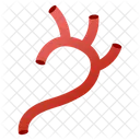 Arterias  Icono