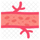Arterias  Icono