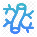 Arteries  Icon