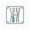 Arthritis x ray  Icon