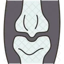 Arthrogram Joint Imaging Icon