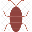 Arthropods Cicada Entomology Icon