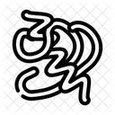 Arthrospira  Icon